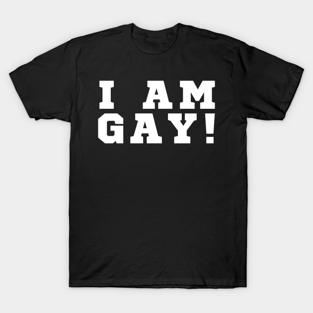 I Am Gay T-Shirt by HobbyAndArt